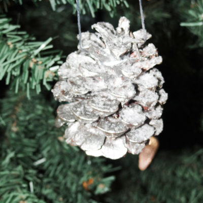 DIY Sparkling Pinecone Ornaments